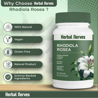 Rhodiola Rosea Extract